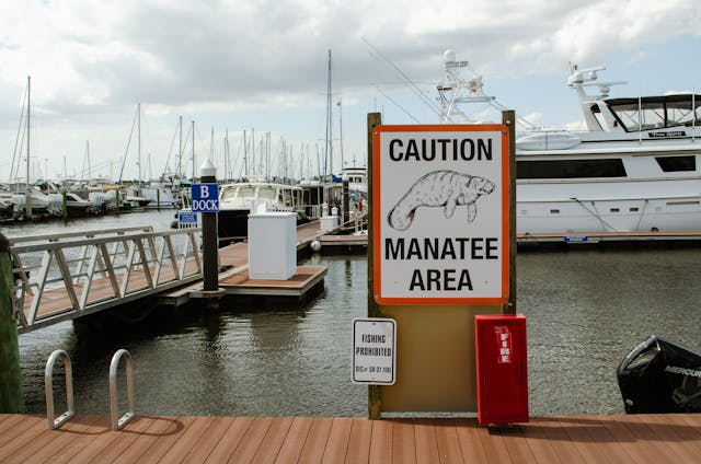 Caution sign warning of manatee area at a marina